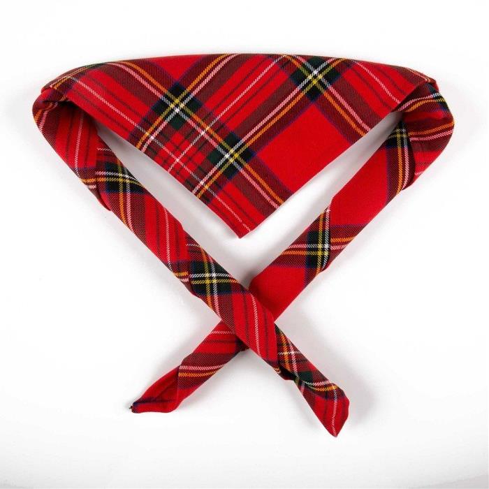 Neckerchief